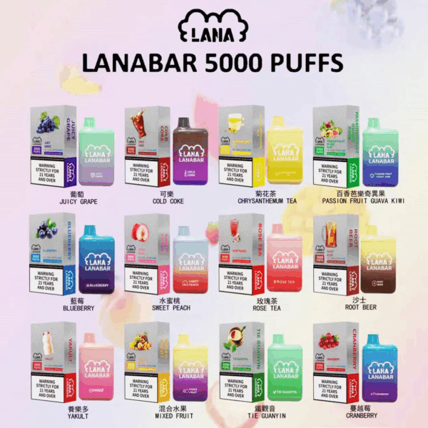 LANA拋棄式5000口<br>[C倉庫]：圖片 4